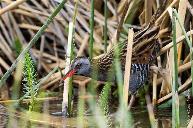 Image title Image description